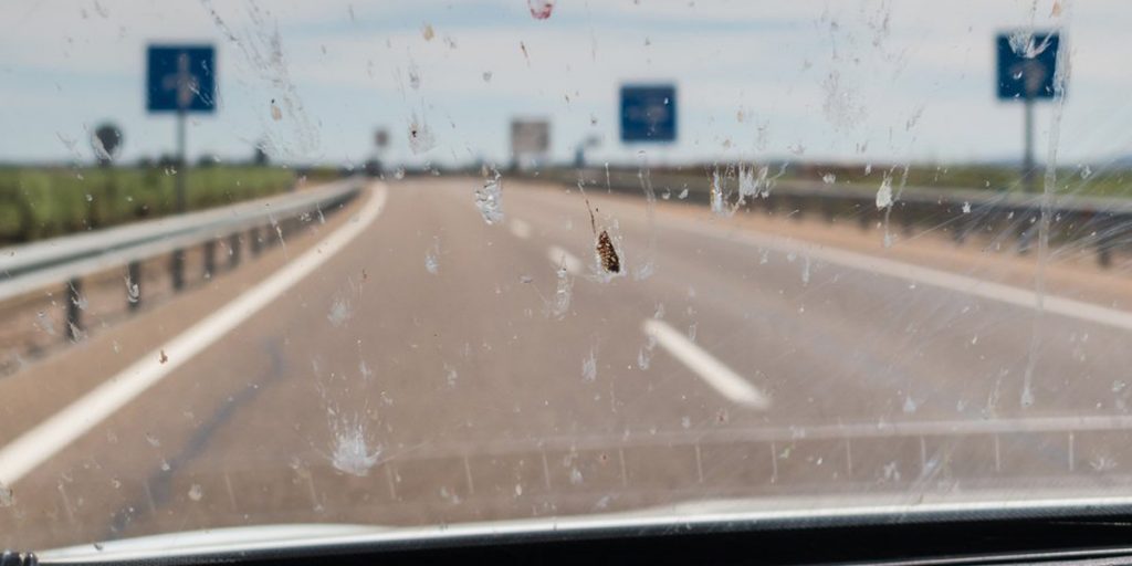 Insekten auf der Scheibe richtig entfernen