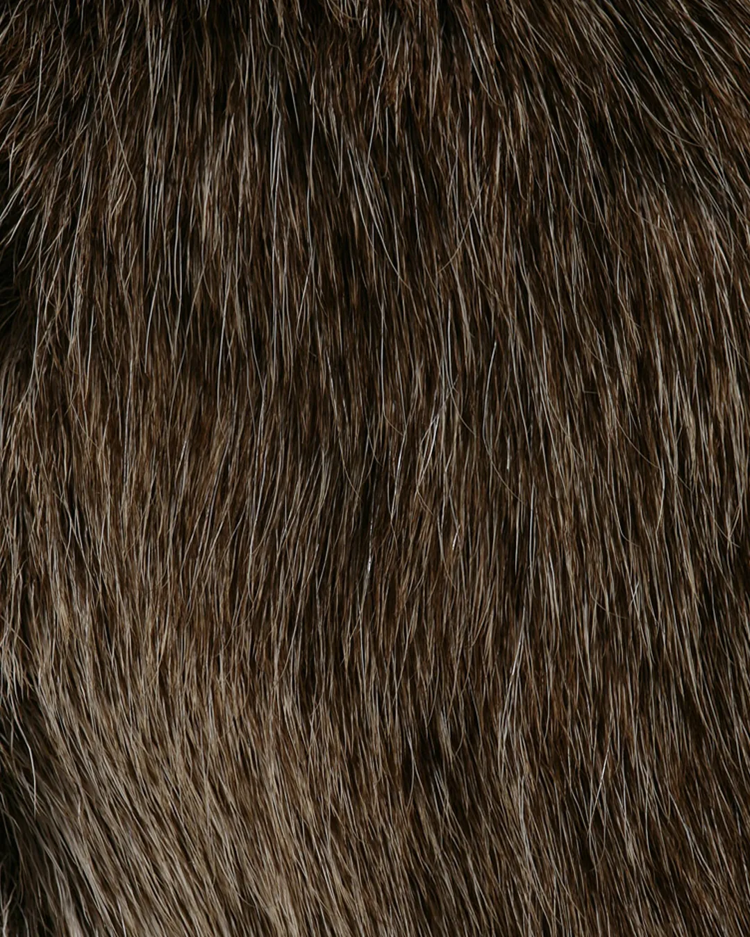 Tierhaare & Gerüche